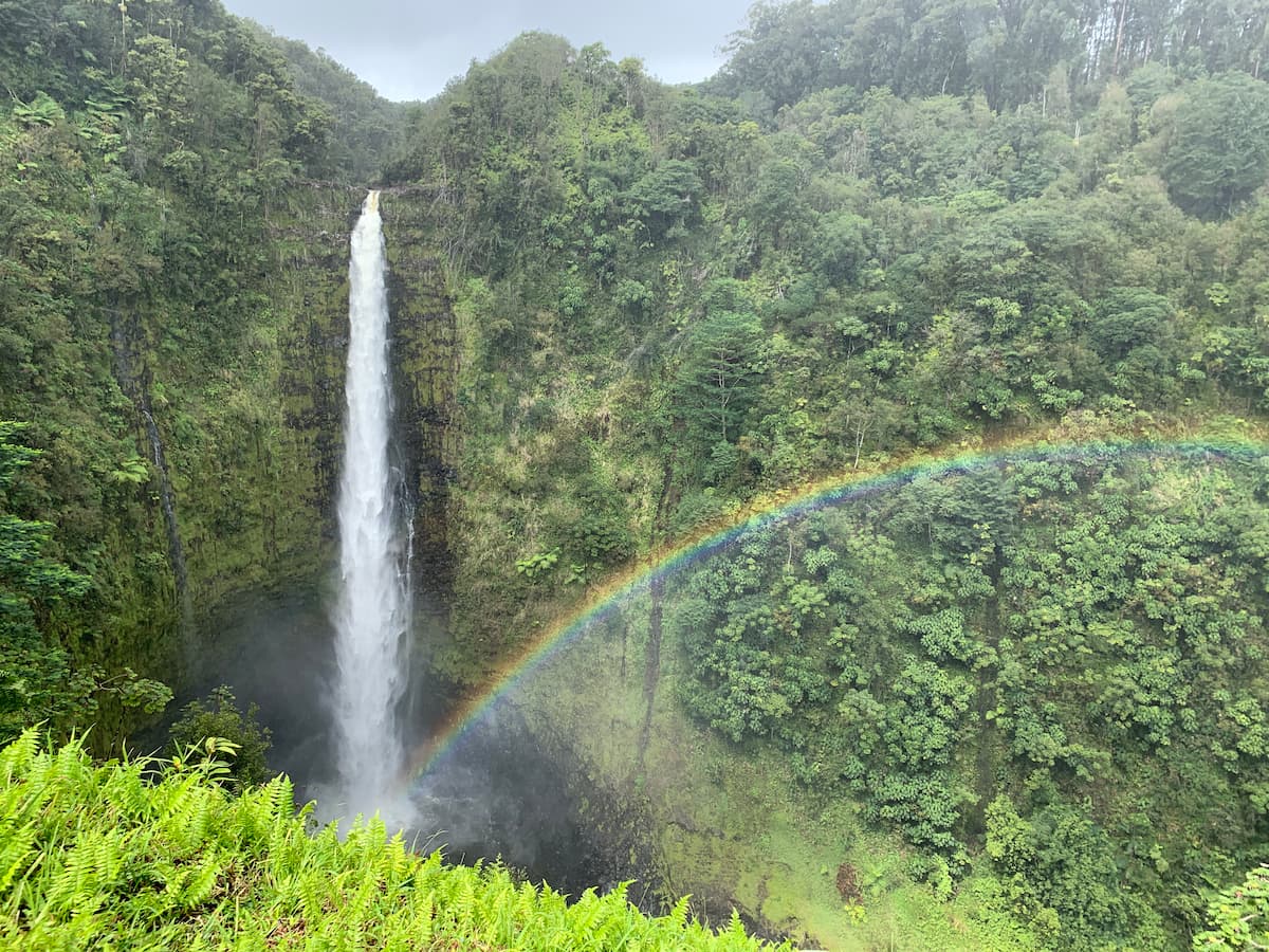 tech in hawaii
